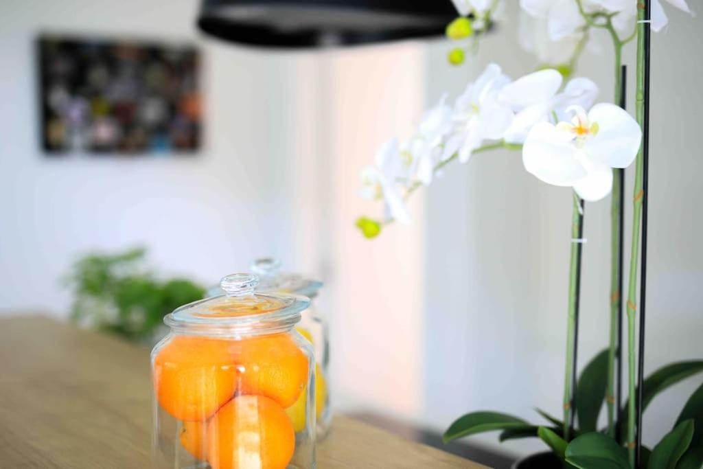 Apartman Anna Zadar Zewnętrze zdjęcie